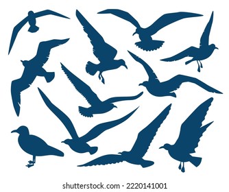 Seagulls silhouettes Vektorkontur Symbol Set. Viele Vögel beherbergen Meerschweinchen umrissene schwarze Formen auf weißem Hintergrund. Seagull fliegender Gleitschirm-Schablone Schablone Schablone.