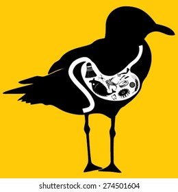 Seagulls stomach before exploding