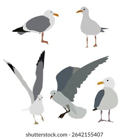Seagulls Vector Clipart Set ,Minimalist Flat Style Birds. Vector illustration
