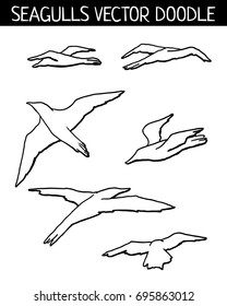 Seagulls vector doodle