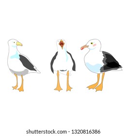 Seagulls vector isolated