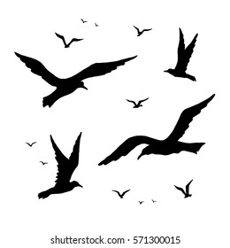 Seagulls vector silhouette set drawing by hand. Birds in flight are isolated.