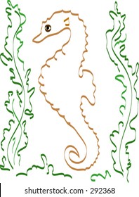 Seahorse.