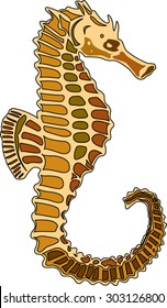 Seahorse