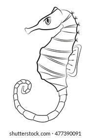 Seahorse