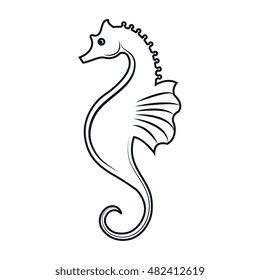 seahorse aquatic animal