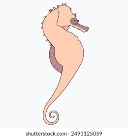 Seahorse, beautiful, detailed, peach color. Vector image of a sea creature.