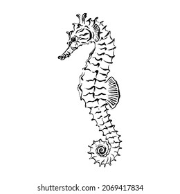 Seahorse. Black ink brush texture. Vector illustration