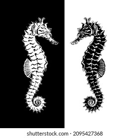 Seahorse black and white inversion.