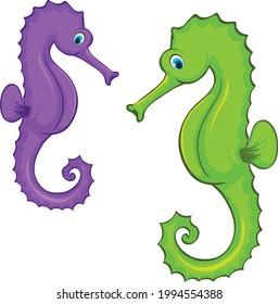 Seahorse cartoon vector art and illustration