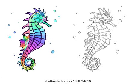 Seahorse Images, Stock Photos & Vectors | Shutterstock