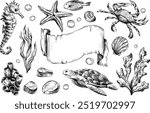 Seahorse, crab, turtle, shells, starfish, fish, bubbles, pebbles, other sea animals. Graphic illustration hand drawn in black ink. Set of isolated objects EPS vector.