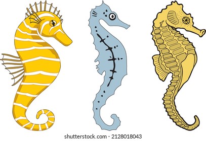 Seahorse Design Collection Set Hippocampus Aquatic Animal Vector Isolated