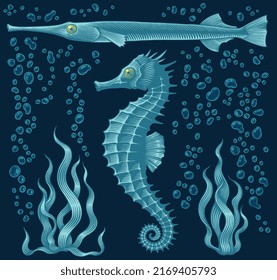 Seahorse and fish in the ocean. Design set. Editable hand drawn illustration. Vector vintage engraving. 8 EPS