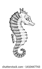 Seahorse fish, underwater sea horse icon. Coral reef animal sketch icon. Black engraved water element graphic, for coloring book, tattoo. Doodle hand drawn vector illustration isolated background