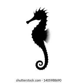 Seahorse graphic icon. Black silhouette seahorse isolated on white background. Seahorse high detailed symbol or sign. Vector illustration