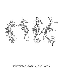 seahorse hand drawn doodle illustrations vector set