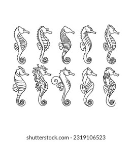 seahorse hand drawn doodle illustrations vector set