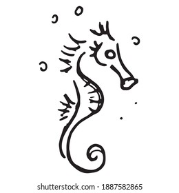 Seahorse icon. Vector cartoon character seahorse.