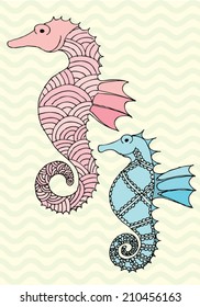 seahorse illustration/vector