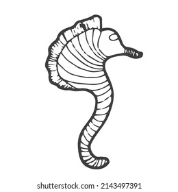 Seahorse - an inhabitant of the ocean - vector linear picture for coloring. Fish seahorse - underwater life for a coloring book. Outline. Hand drawing.