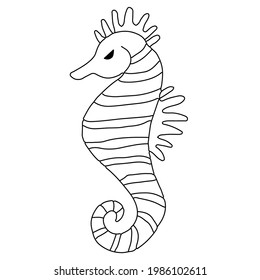 Seahorse isolated on white. Line drawing. Design element. Isolated on white