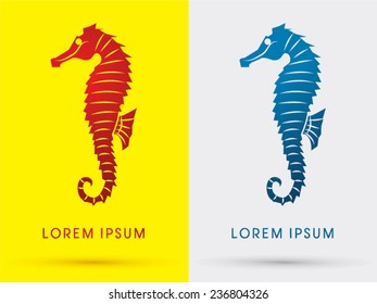 Seahorse, logo, symbol, icon, graphic, vector .