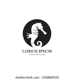 seahorse logo and symbol icon vector