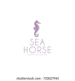 Seahorse. Logo template. Isolated seahorse on white background. Cute animal 