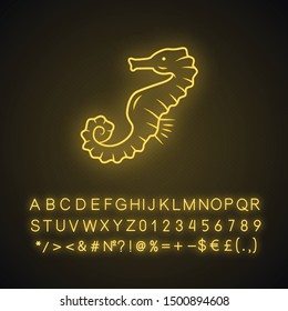 Seahorse neon light icon. Exotic fish. Aquatic creature with horse shape body. Swimming underwater organism. Marine fauna. Glowing sign with alphabet, numbers and symbols. Vector isolated illustration