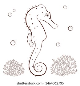 Seahorse in outline style, vector illustration of seahorse with corals and water bubbles isolated on white background, coloring page for children