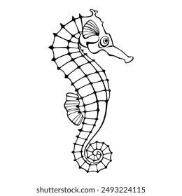 Seahorse. Outline vector illustration on white background. Side view of black seahorse. Great for logos, cards, banners, posters, cards, menu decoration,  printing and textiles.