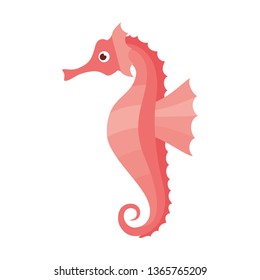 seahorse pattern isolated icon