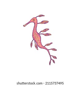 Seahorse pink. Vector wild ocean animal underwater life doodle line isolated illustration.