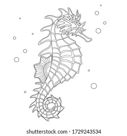 Seahorse reef fish coloring book. Doodle style seahorse fish. Vector illustration isolated on white background.
