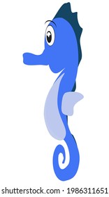 Seahorse, sea animal, cute blue, undersea vector illustration and cartoon sea animal