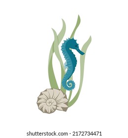 seahorse and sea bottom illustration