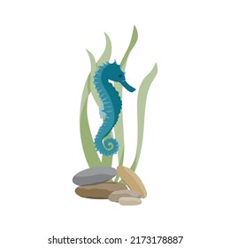 seahorse and sea bottom illustration
