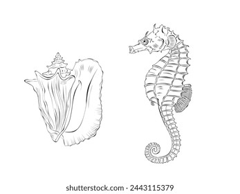 Seahorse and Seashell Vector Illustration set. Isolated on white background. Doodle Outline for coloring book, design logo, fabric, wallpaper