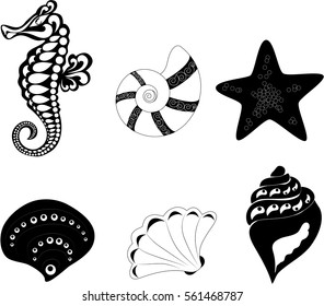Seahorse and seashells