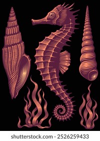 Seahorse and seashells. Design set. Editable hand drawn illustration. Vector vintage engraving. Isolated on black background. 8 EPS