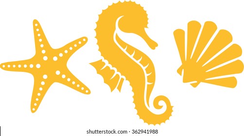 Seahorse with shell and clam