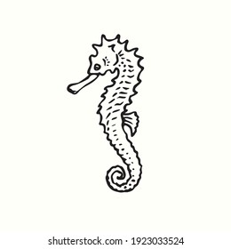 Seahorse side view. Ink black and white doodle drawing in woodcut outline style. Vector illustration