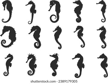 Seahorse silhouette, Seahorse icon set, Seahorse clipart, Seahorse vector illustration