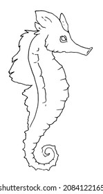 Seahorse sketch. hand-drawn seahorse, side view with long mane and nose, isolated black outline on white for design template. Isolated vector illustration.