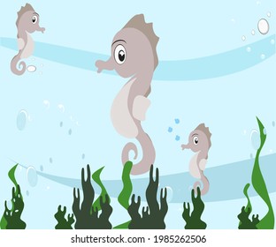 seahorse sponge seaweed under the sea vector illustration sea and marine life
