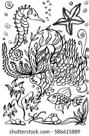 Seahorse, starfish, fish. Underwater world. Black and white illustration for coloring book
