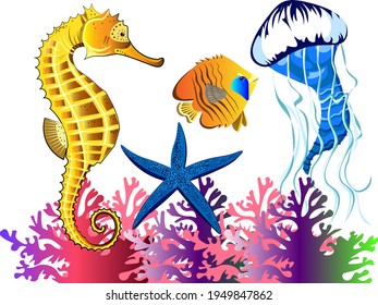 Seahorse starfish jellyfish and small fish butterfly set marine life illustrations.Colorful image on transparent background