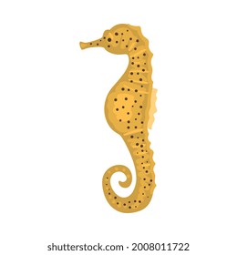 Seahorse Underwater Ocean Sea Creature Cartoon Vector Illustration