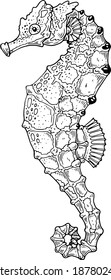 Seahorse. Vector illustration. ink illustration.